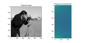 SciPy: Using fft.rfft2() function (4 examples)