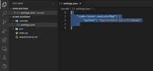 How to Use Code Runner in Python Virtual Environments
