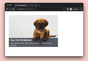 Tailwind CSS: How to place text over an image