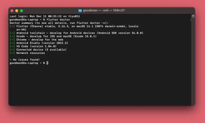 Solving Flutter error: CocoaPods not installed or not in valid state