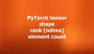 PyTorch tensor shape, rank, and element count